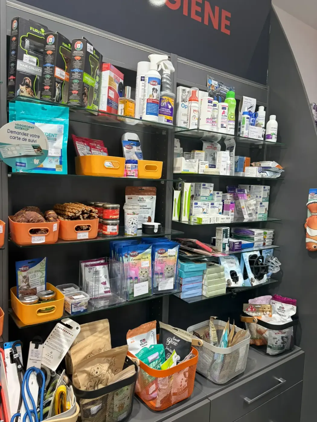 Rayon produits et soins en clinique vétérinaire