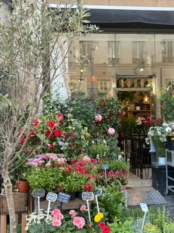Fleuriste indépendant - étal de fleurs en devanture