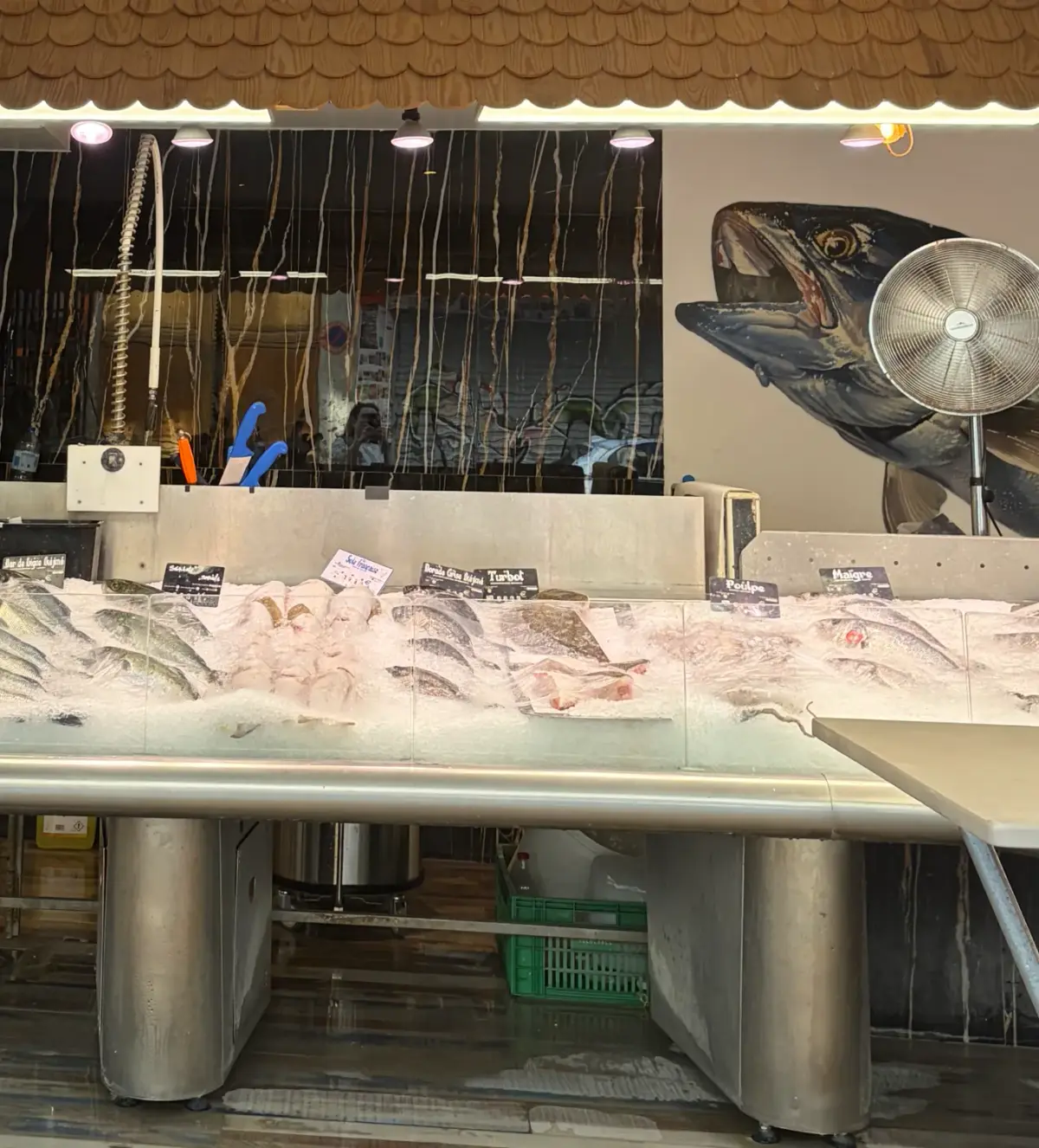 Poissonnerie de proximité - étal réfrigéré